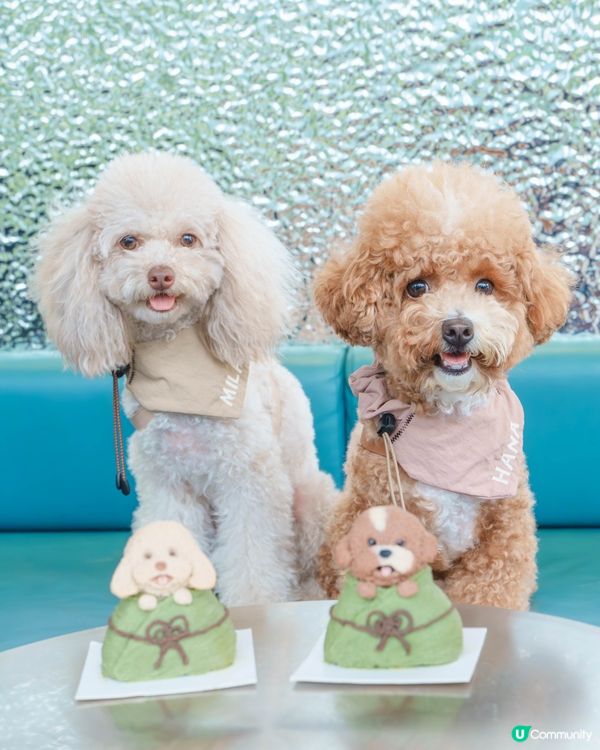 端午節快樂🎉  齊齊食糭😋