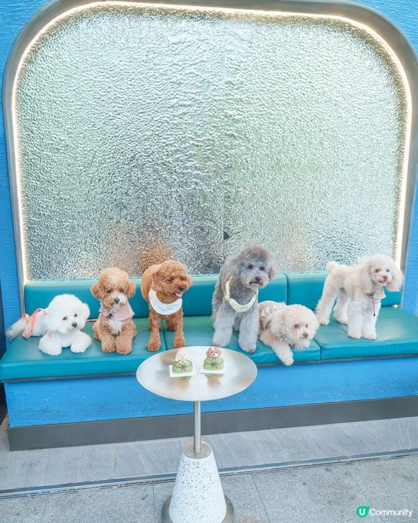 端午節快樂🎉  齊齊食糭😋