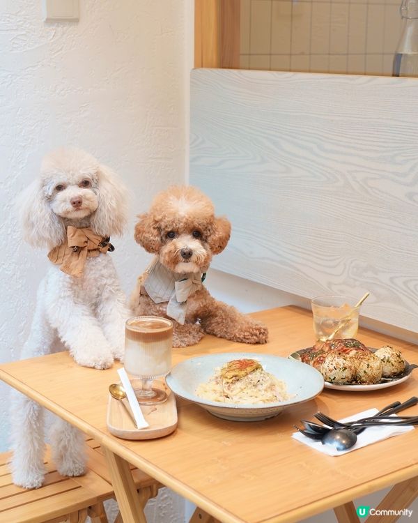 西貢新發現！文青Cafe ☕️🌿