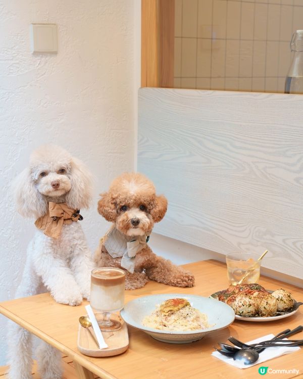 西貢新發現！文青Cafe ☕️🌿