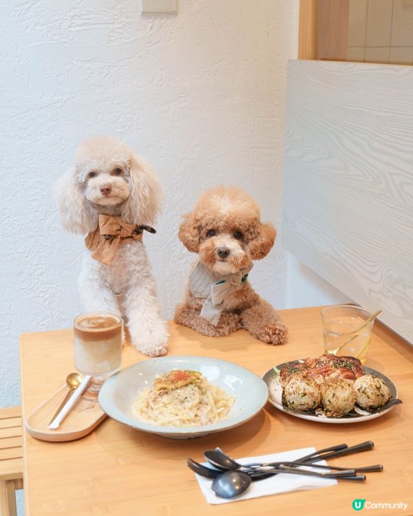 西貢新發現！文青Cafe ☕️🌿