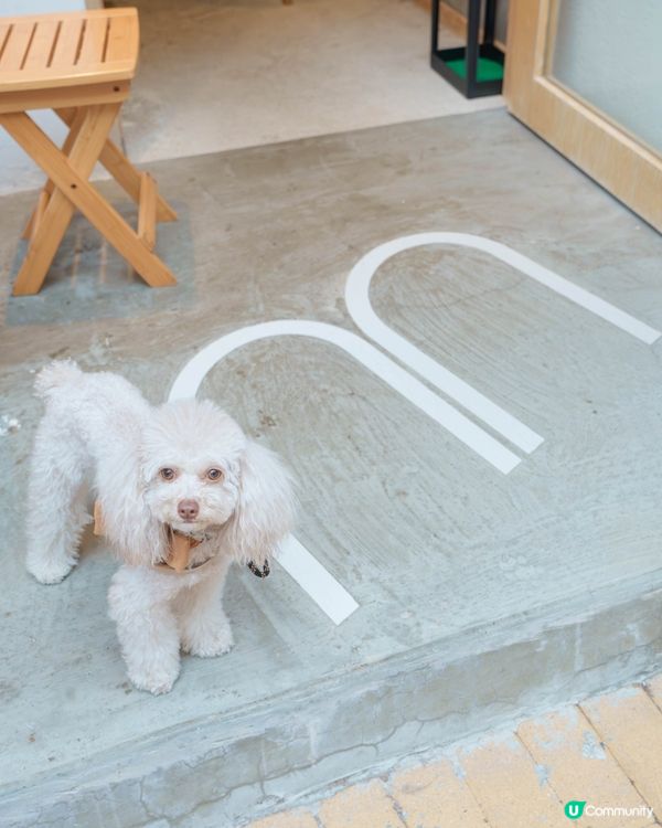 西貢新發現！文青Cafe ☕️🌿