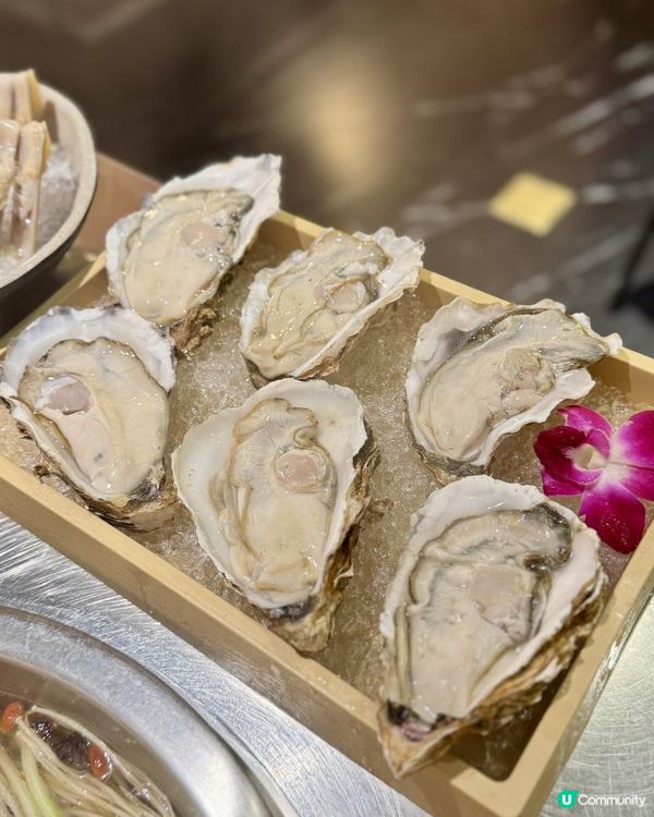 港人來深必吃的新“鮮”三味火鍋！