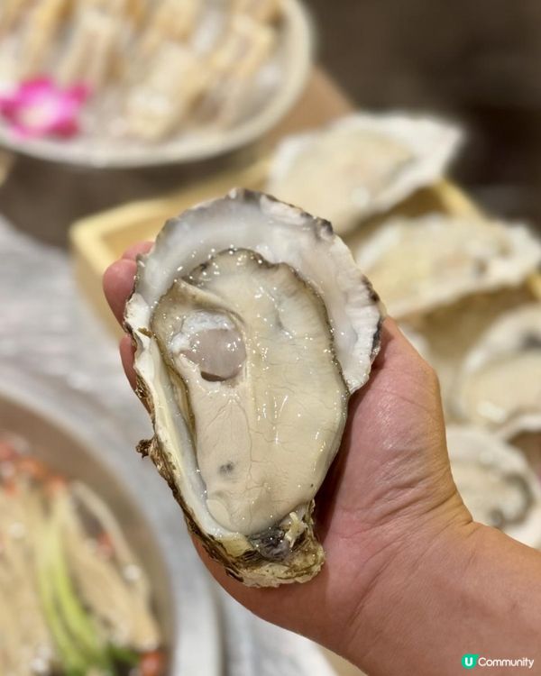 港人來深必吃的新“鮮”三味火鍋！