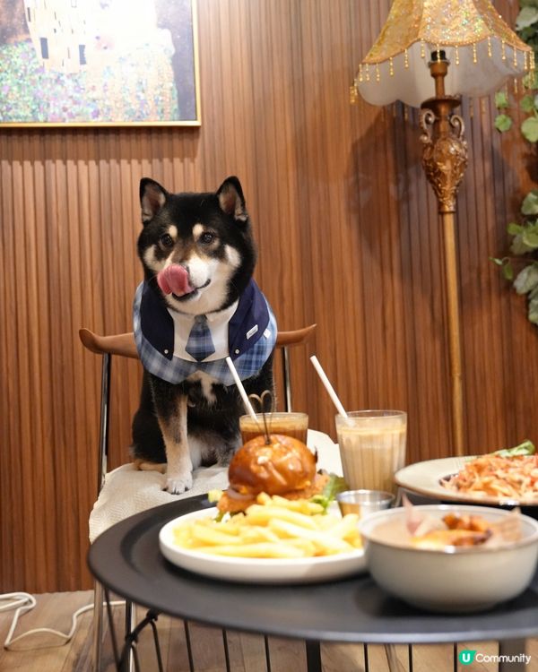 避暑搵食好去處 🐶 灣仔新發現！