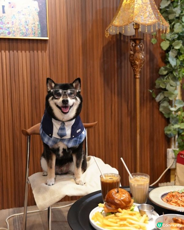 避暑搵食好去處 🐶 灣仔新發現！