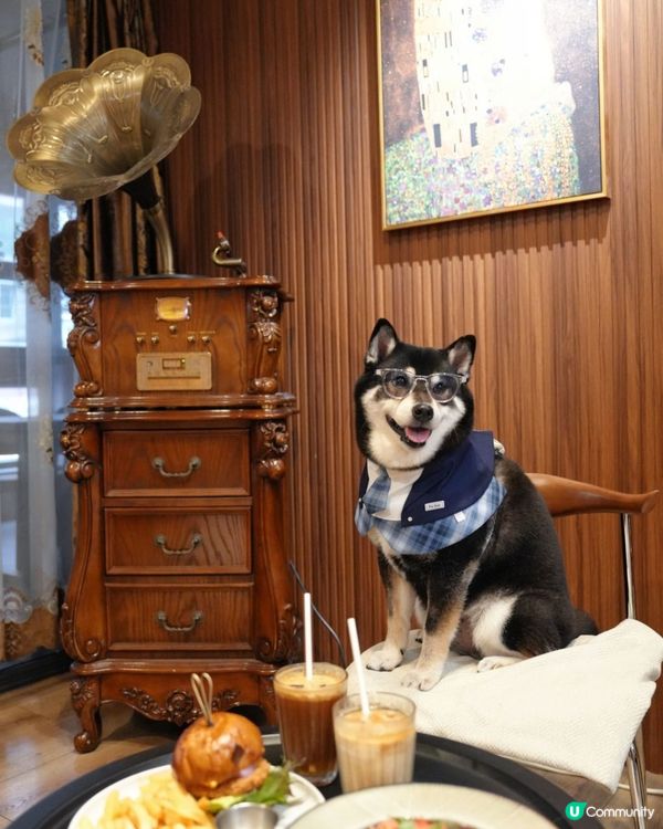 避暑搵食好去處 🐶 灣仔新發現！