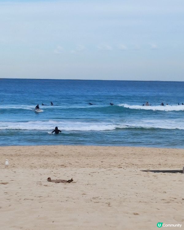 悉尼令人去旅遊樂宜忘返嘅好地方