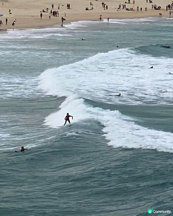 悉尼令人去旅遊樂宜忘返嘅好地方