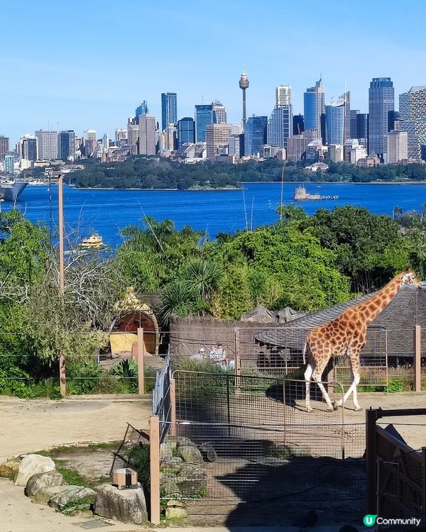 悉尼令人去旅遊樂宜忘返嘅好地方