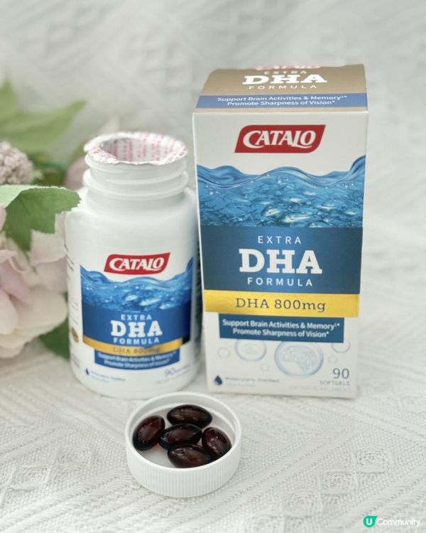 維持眼睛健康+  增強思考力及記憶力