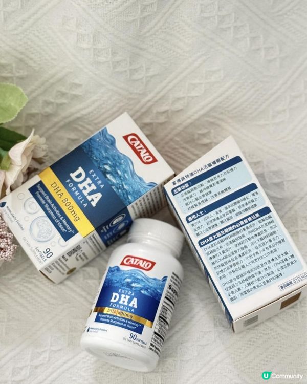 維持眼睛健康+  增強思考力及記憶力