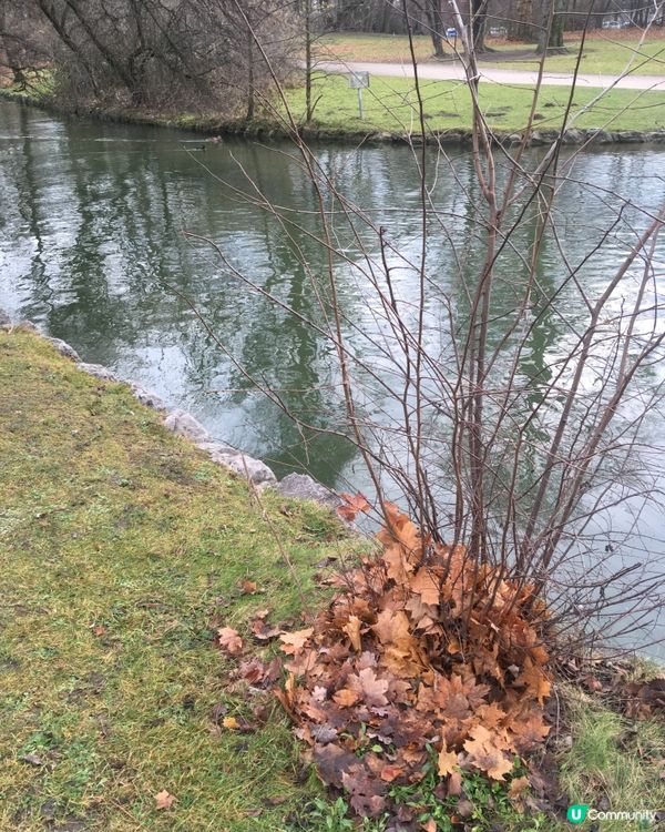 Munich ❣️❣️❣️ 