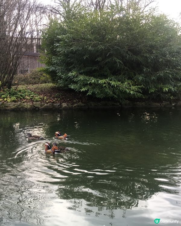 Munich ❣️❣️❣️ 