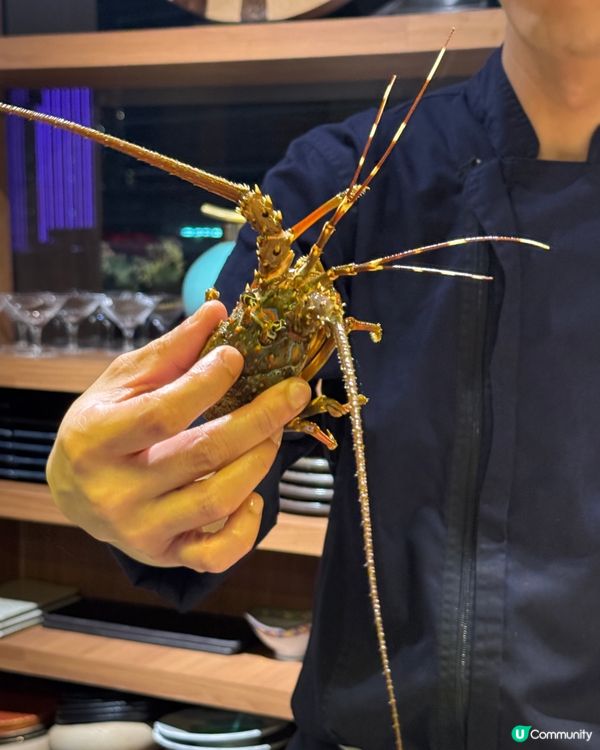 銅鑼灣高質廚師發辦 🍣 85折食抵到爆！