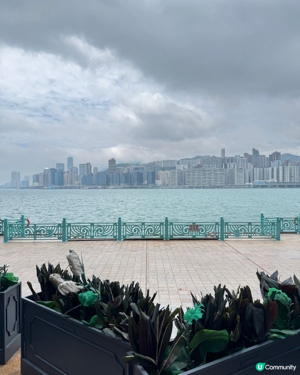 紅磡黃埔海景餐廳 🌅  
泰意 fusion 🍽️  食住靚