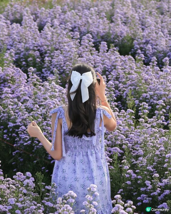 2025年下半年 請假攻略遊泰國