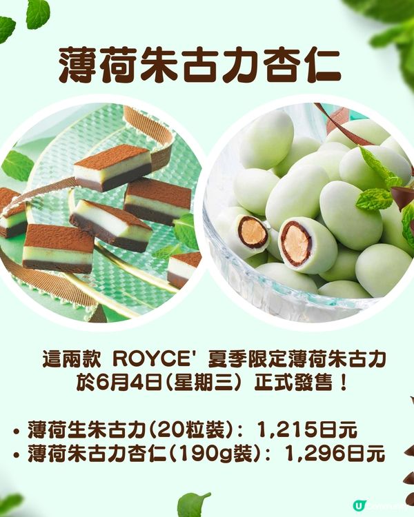 北海道ROYCE'推出2款夏季限定「薄荷朱古力」  生朱古力/香脆杏仁口感 即日起10間店舖發售