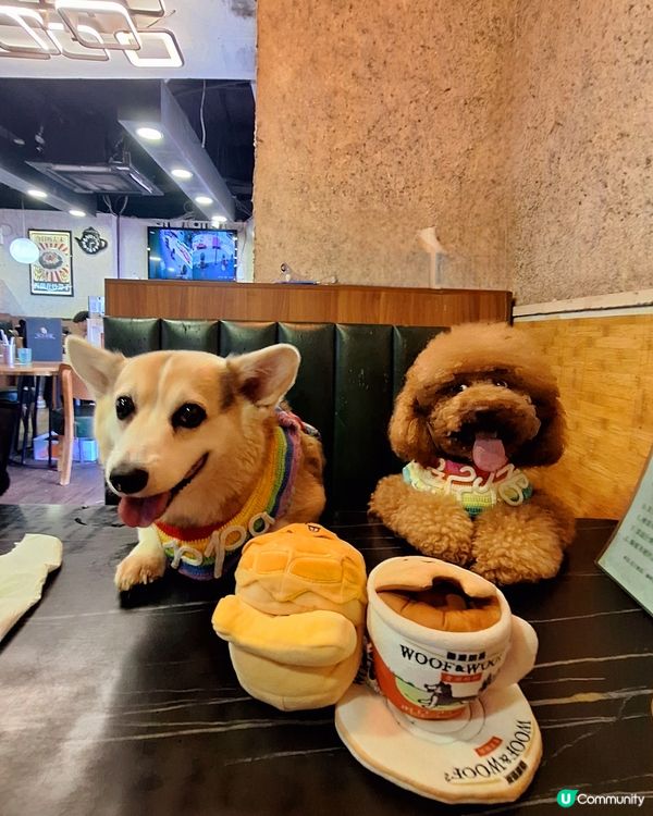 🐶 港式茶餐廳系列出世啦！🤩