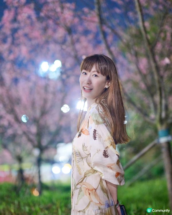 鍾情 我地嘅香港 