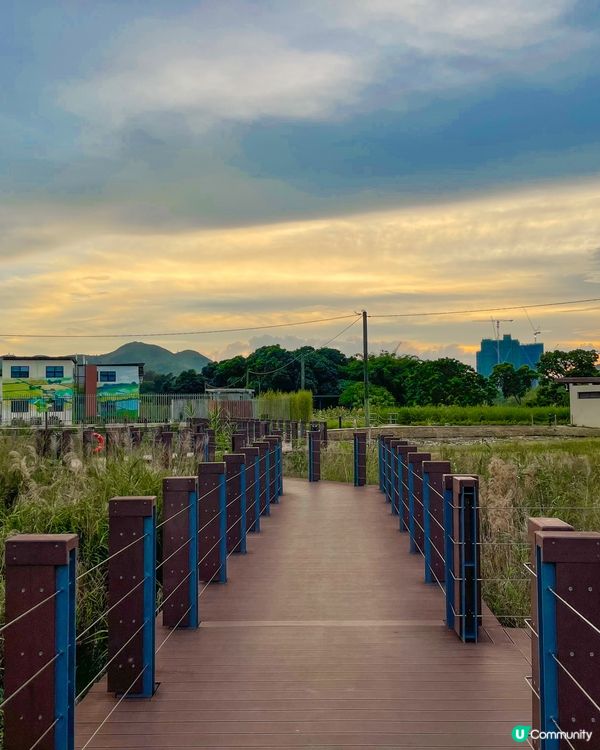 📸影相發燒友勝地✨