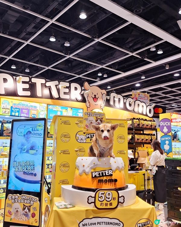 🐶🐾寵物展優惠延長10日！最後100位！
