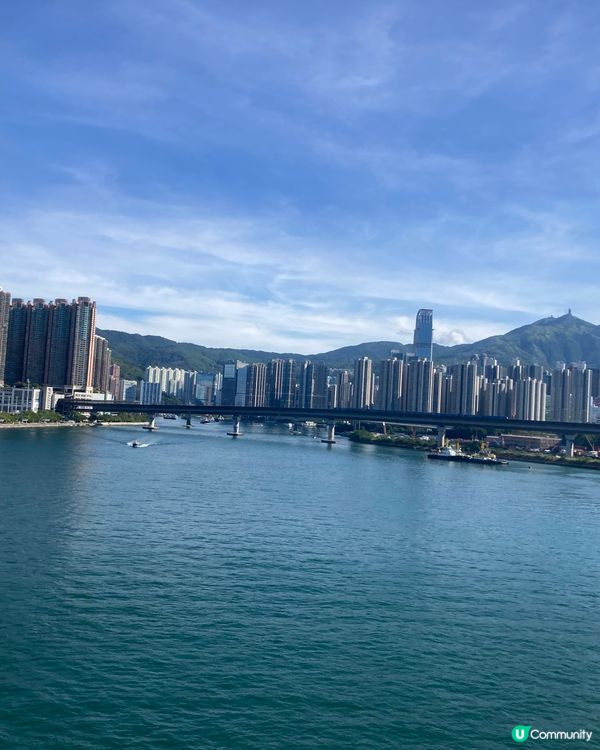 巴士遊走荃灣、龍翔道景色 即食飯、和奶茶的味道