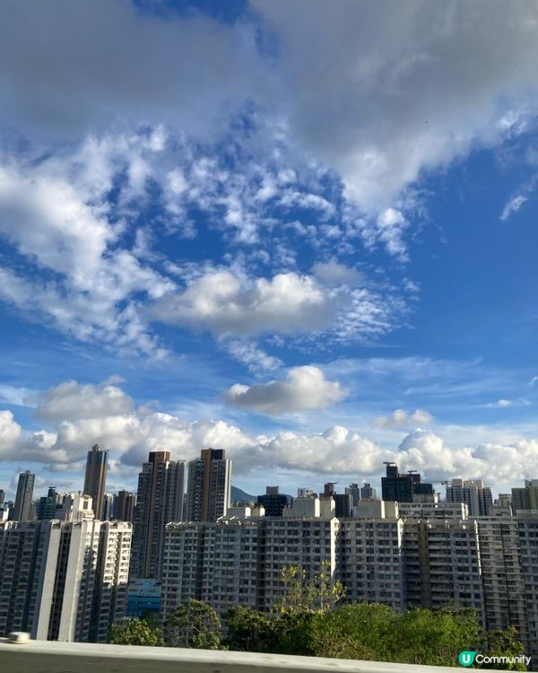 巴士遊走荃灣、龍翔道景色 即食飯、和奶茶的味道