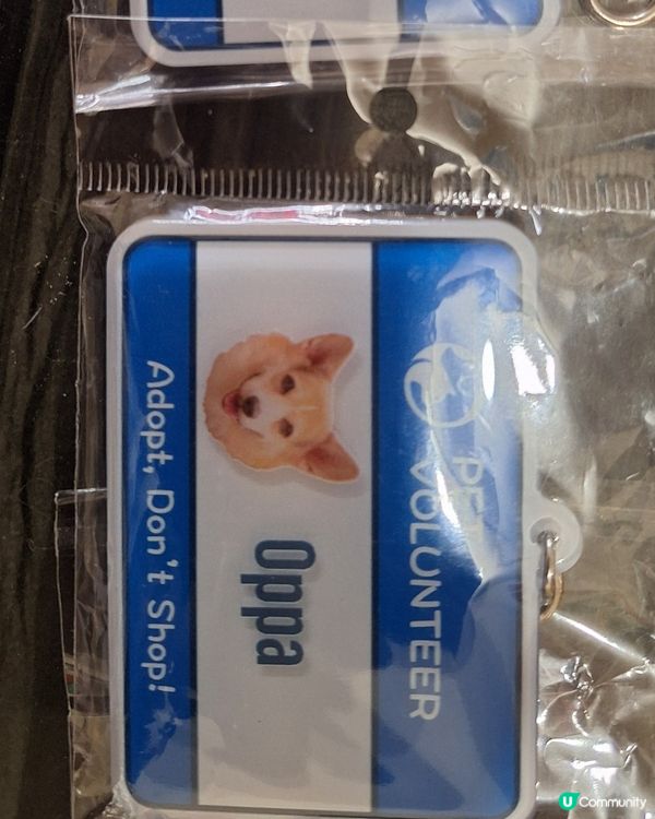 飲酒做善事，幫毛孩搵屋企！🐶🍻