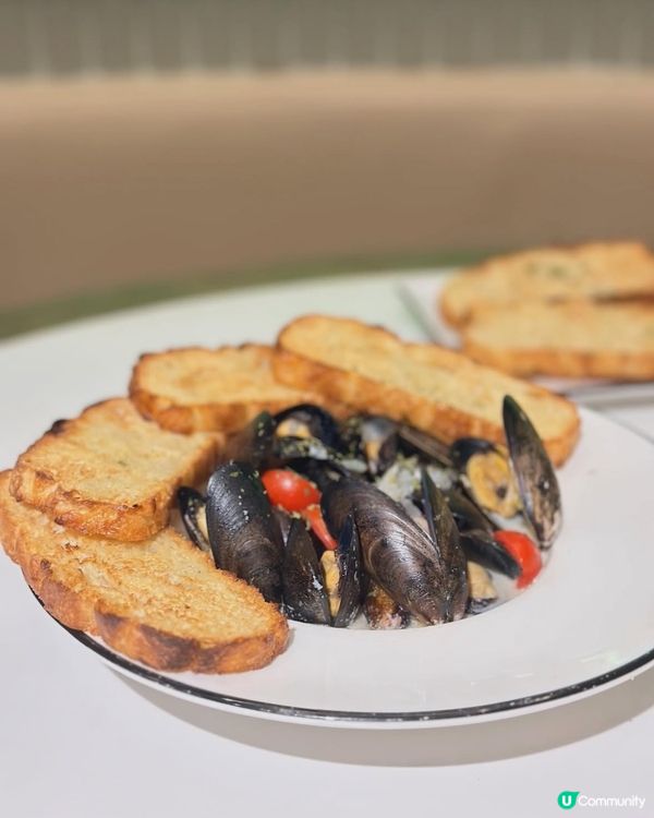 GoNuts登陸啟德體育園🎾