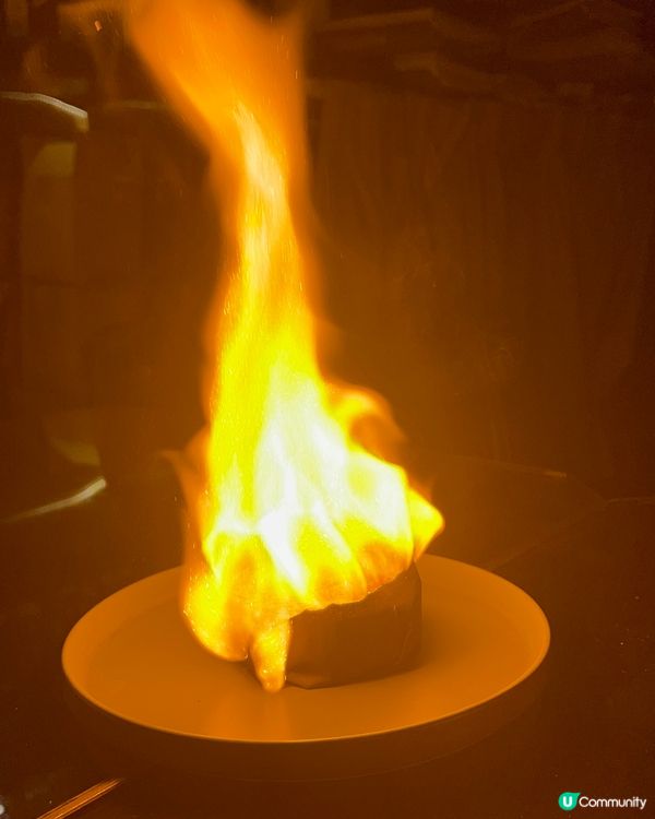 觀塘寵物餐廳🐶🔥  火焰焦糖燉蛋必試！