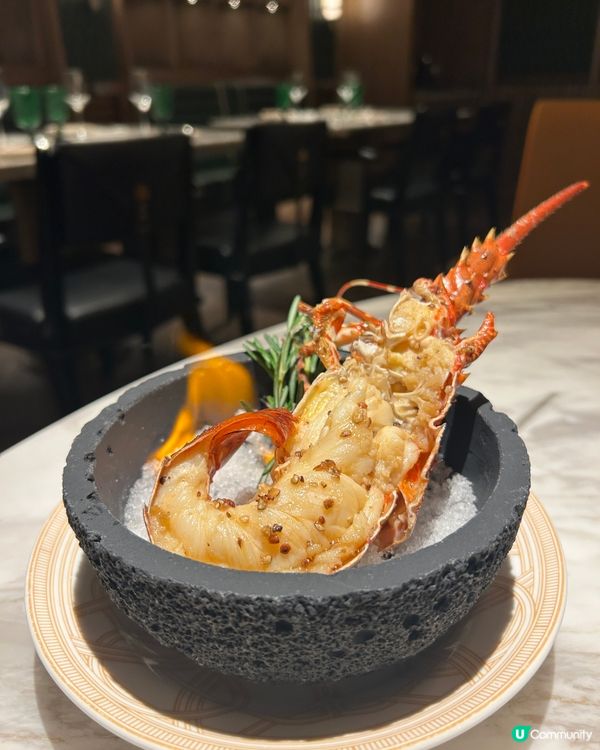 「花圖」高貴典雅氣質之選 🌼🪸🌺🪻🌹