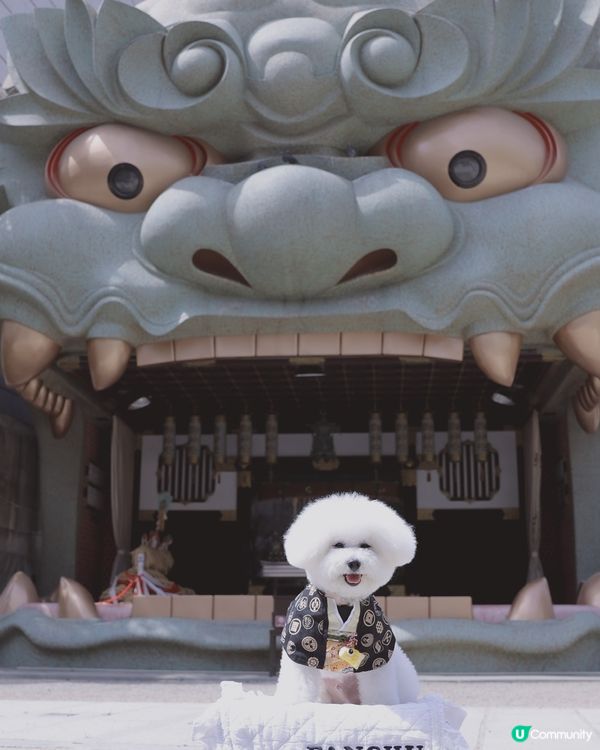 難波八阪神社🦁寵物友善☺️你都快啲帶埋狗狗一齊去祈福啦～