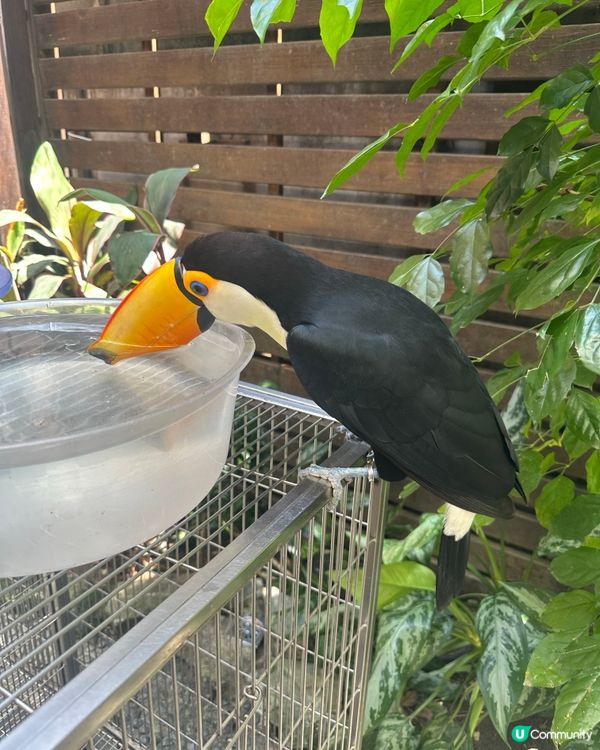 肉球森林(東門店)Part2