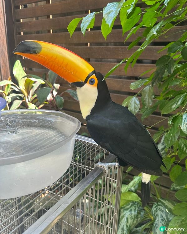 肉球森林(東門店)Part2