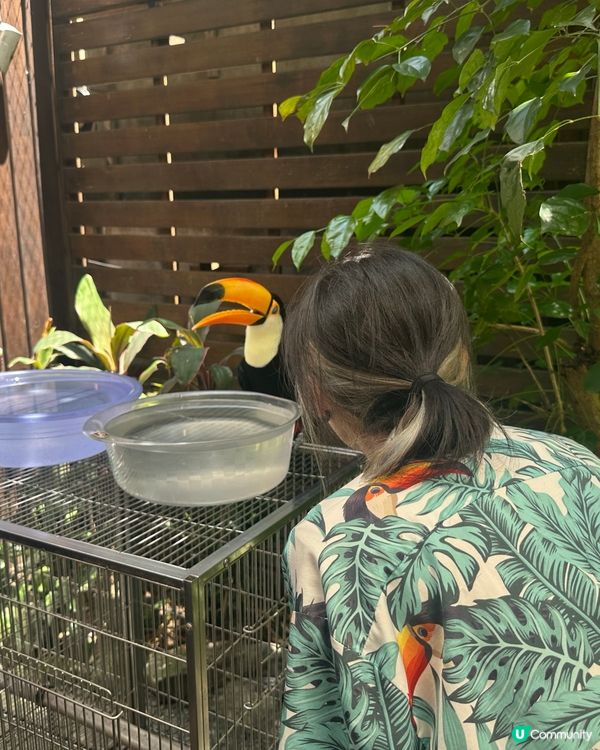 肉球森林(東門店)Part2