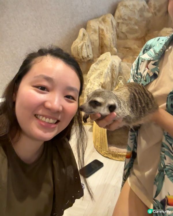 肉球森林(東門店)Part2