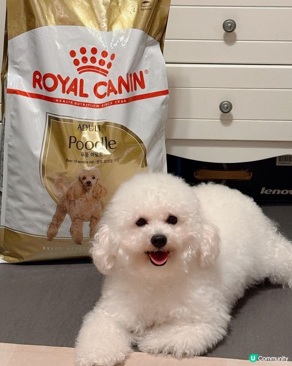 我係 Royal Canin Pet-OL