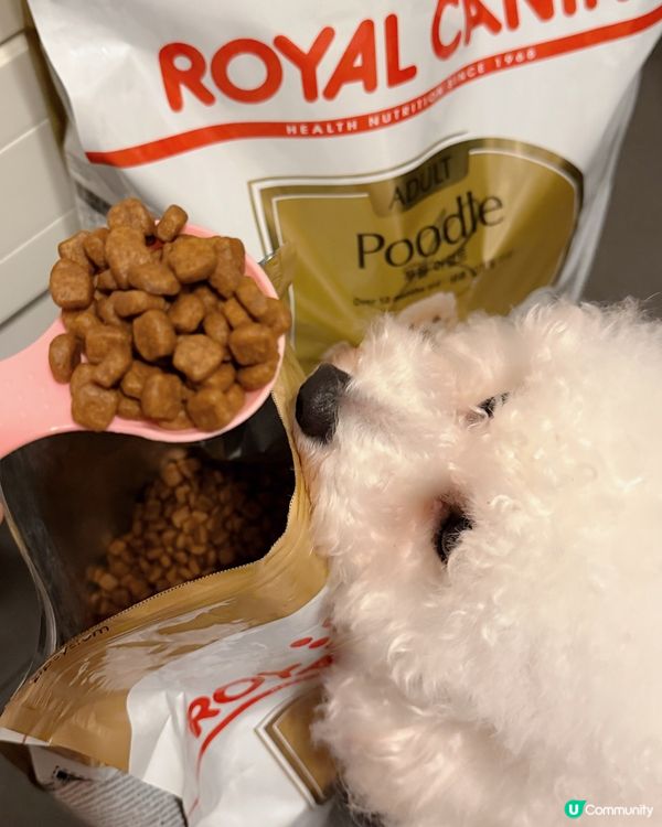 我係 Royal Canin Pet-OL