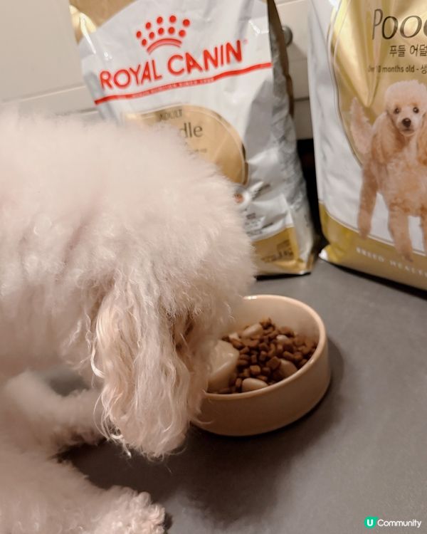 我係 Royal Canin Pet-OL