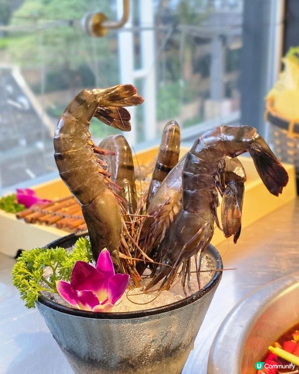 📍深圳必吃! 重慶渝味曉宇火鍋🍲🔥