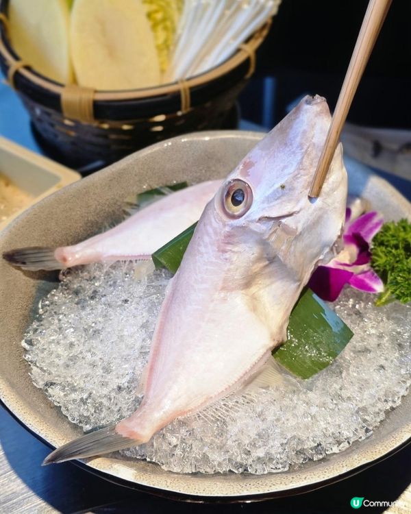 📍深圳必吃! 重慶渝味曉宇火鍋🍲🔥