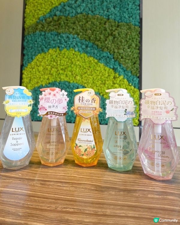 告別乾旱髮尾🤫  護髮秘訣大公開！