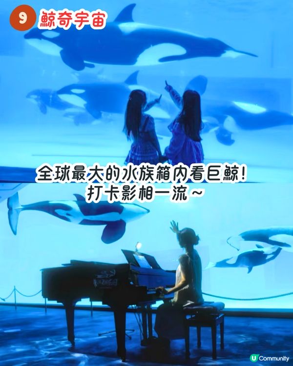 珠海長隆宇宙飛船樂園攻略🛸🌊全球最大室內樂園！9大玩樂設施推介！親子避暑必去～附門票資訊