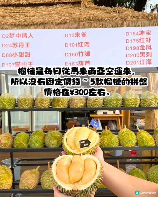 深圳榴槤大排檔😍食馬來西亞直運榴槤！黑刺/貓山王/葫蘆/甲必利‼️可選拼盤