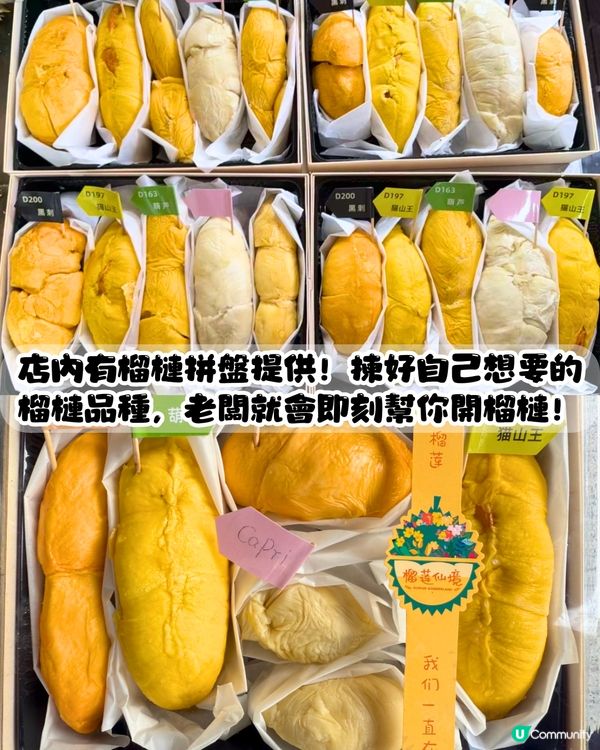 深圳榴槤大排檔😍食馬來西亞直運榴槤！黑刺/貓山王/葫蘆/甲必利‼️可選拼盤