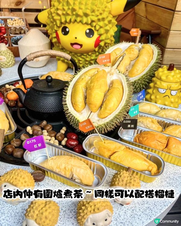 深圳榴槤大排檔😍食馬來西亞直運榴槤！黑刺/貓山王/葫蘆/甲必利‼️可選拼盤