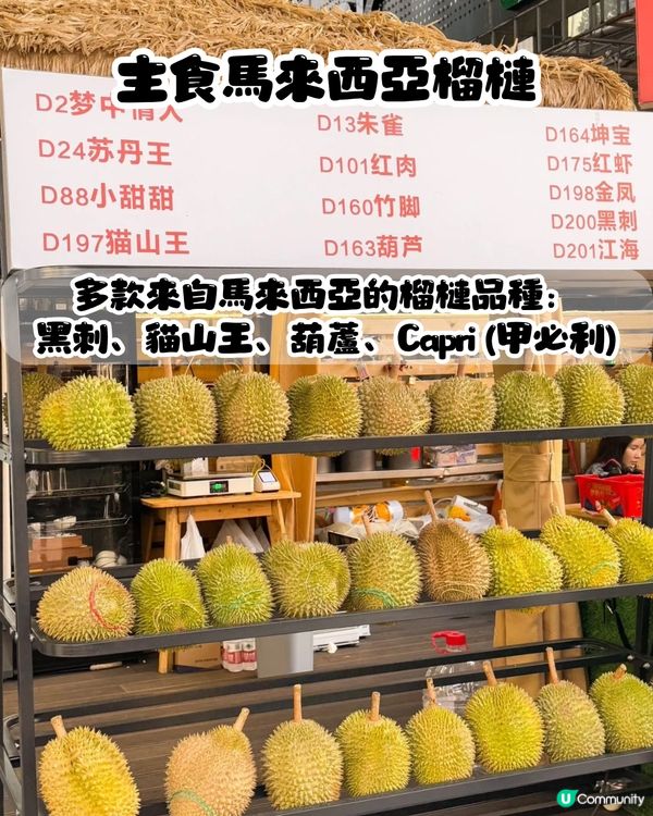 深圳榴槤大排檔😍食馬來西亞直運榴槤！黑刺/貓山王/葫蘆/甲必利‼️可選拼盤