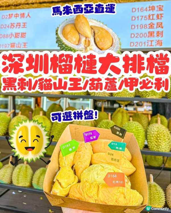 深圳榴槤大排檔😍食馬來西亞直運榴槤！黑刺/貓山王/葫蘆/甲必利‼️可選拼盤
