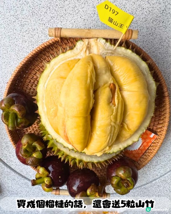 深圳榴槤大排檔😍食馬來西亞直運榴槤！黑刺/貓山王/葫蘆/甲必利‼️可選拼盤